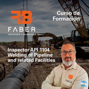 0431 - Formación Inspector API 1104