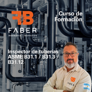 0433 - Formación Inspector de tuberías PIPING ASME B31.1 / B31.3 / B31.12